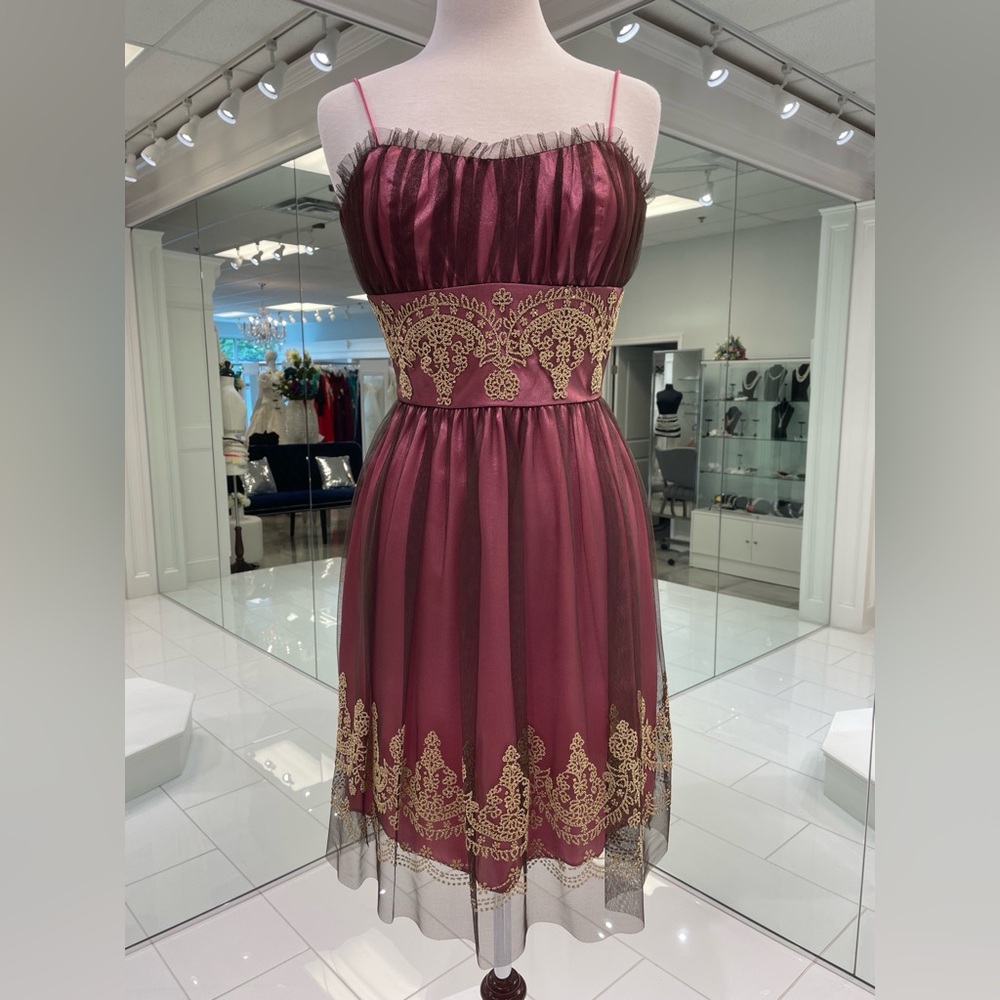 Elegant Pink, Brown, and Gold Dress